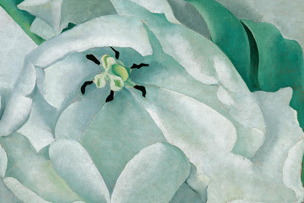 White Flower by Georgia O'Keefe