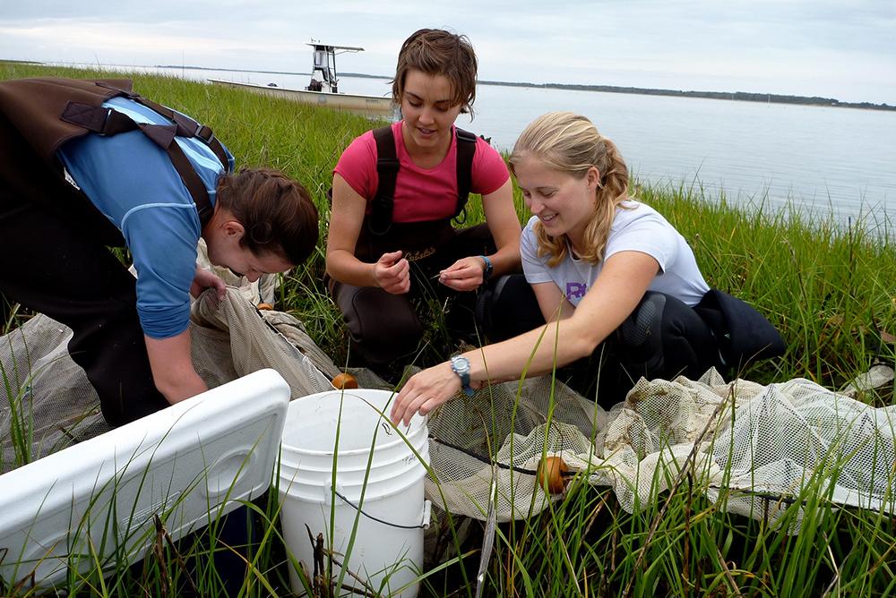 outside, outdoors, people, graduate, students, grasses, vims, waders, river, boats, buckets, research, marine science